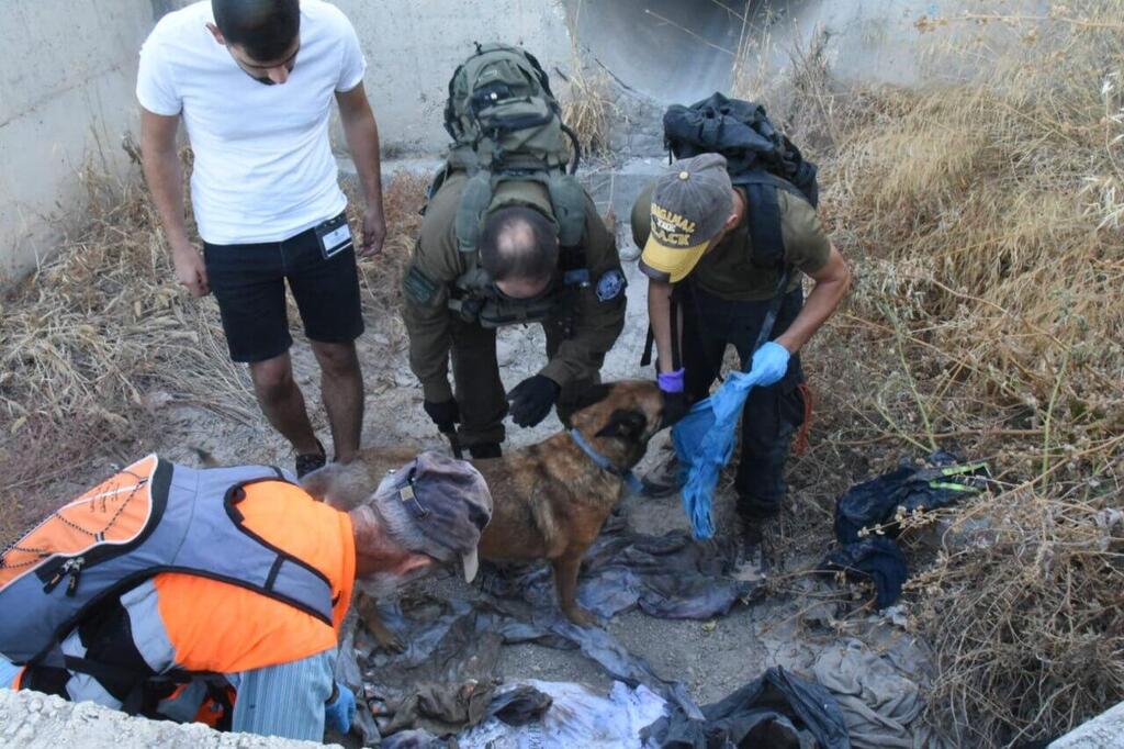 חיפושים אחר הילדה הנעדרת היימנוט קסאו