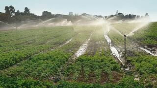 שדות חיטה בעוטף, לפני המלחמה