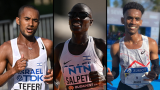 גשאו איילה  לונה צ'מטאי סלפטר מארו טפרי