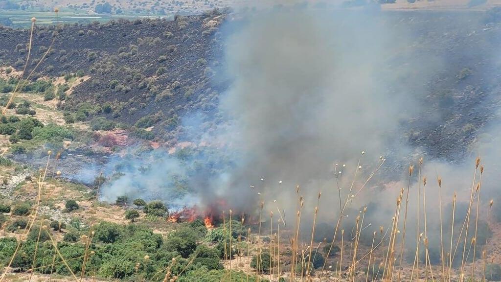 יער יהודיה