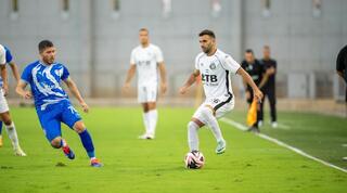 הראל שלום בפעולה