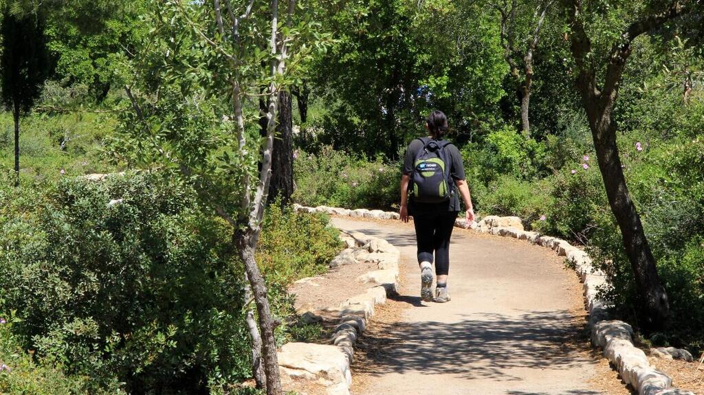 The Scenic Trail at Katlav Stream 