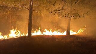 עקב ריבוי נפילות של חימוש אויב התפתחו מספר  שריפות ביערות קק״ל