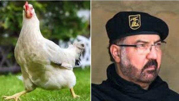 הרשתות החברתיות לועגות לחיזבאללה ונסראללה אחרי נזקי התקיפה המינימליים לישראל