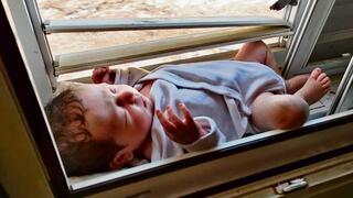 קאי על חלון הממ"ד, בתמונה שצילמה איימי