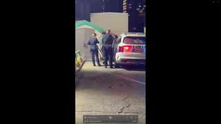 העצורה שחשודה בזריקת חול על בן גביר נכנסת לניידת משטרה