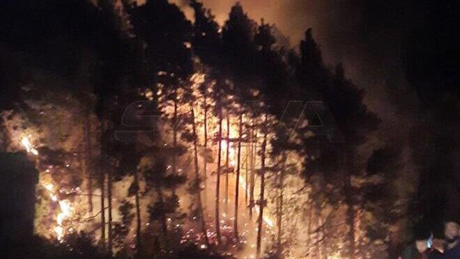 תיעוד ערבי מהתקיפות בסוריה