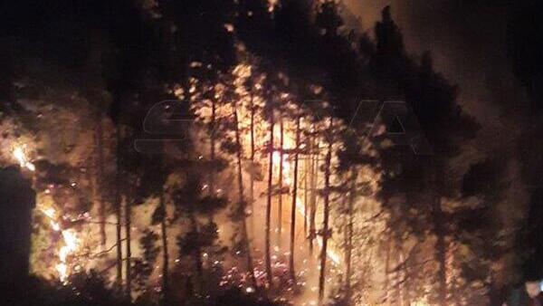 תיעוד ערבי מהתקיפות בסוריה