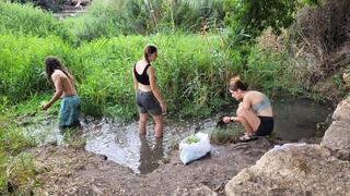 אוספים את המין הפלוש במעין שליד קריית טבעון