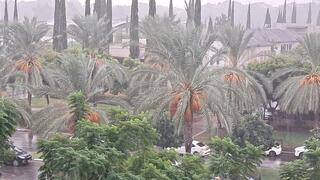 שמי קריית אונו הבוקר