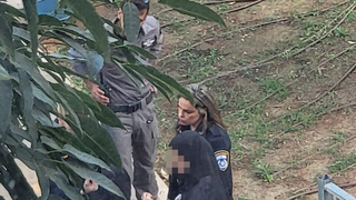 פלסטינית עם סכין גדולה שהתחזתה לישראלית נתפסה בבית ספר יסודי בהוד השרון