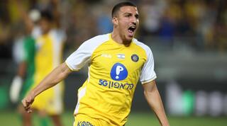 אושר דוידה בטירוף