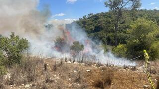 תושב חיפה נעצר בחשד להצתות מכוונות ביערות הכרמל