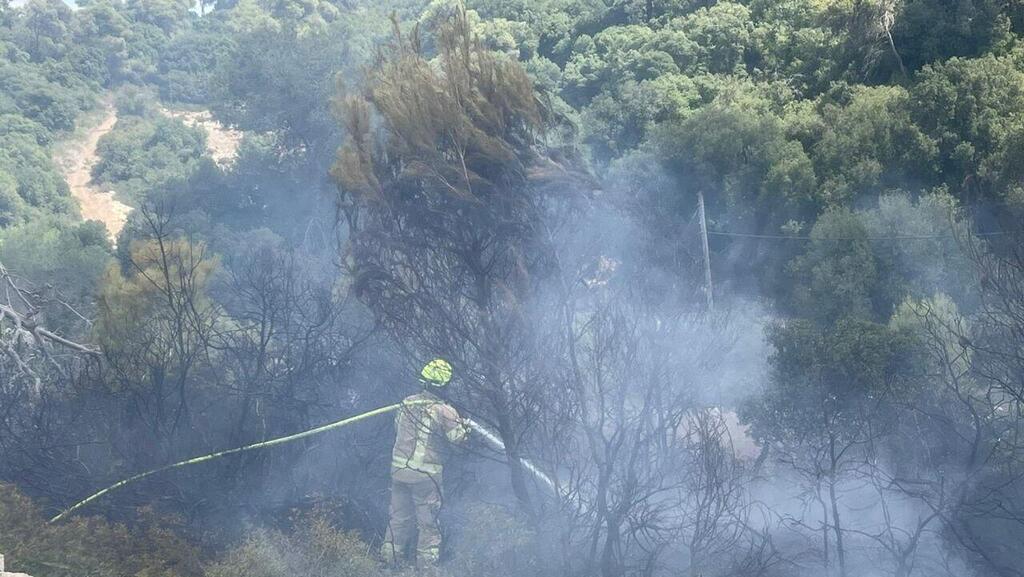 תושב חיפה נעצר בחשד להצתות מכוונות ביערות הכרמל