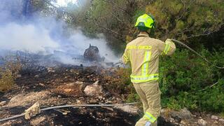 הצוותים פועלים לכיבוי השריפות ביערות הכרמל