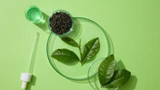 צמחי מרפא: אשוואגנדה, תה ירוק וקוהוש שחור. אילוסטרציה