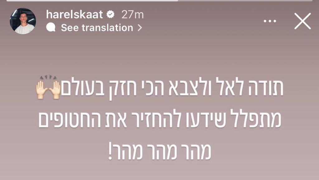 הסלבס מגיבים 