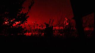 לוחמי חטיבת הקומנדו והצנחנים בדרום לבנון: מחסלים מחבלים בטווח קרוב ומשמידים מתחמי לחימה של חיזבאללה