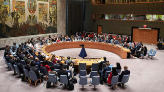 הדיון במועצת הביטחון