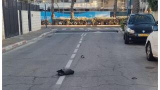 שבר יירוט בשכונת סביוני ים