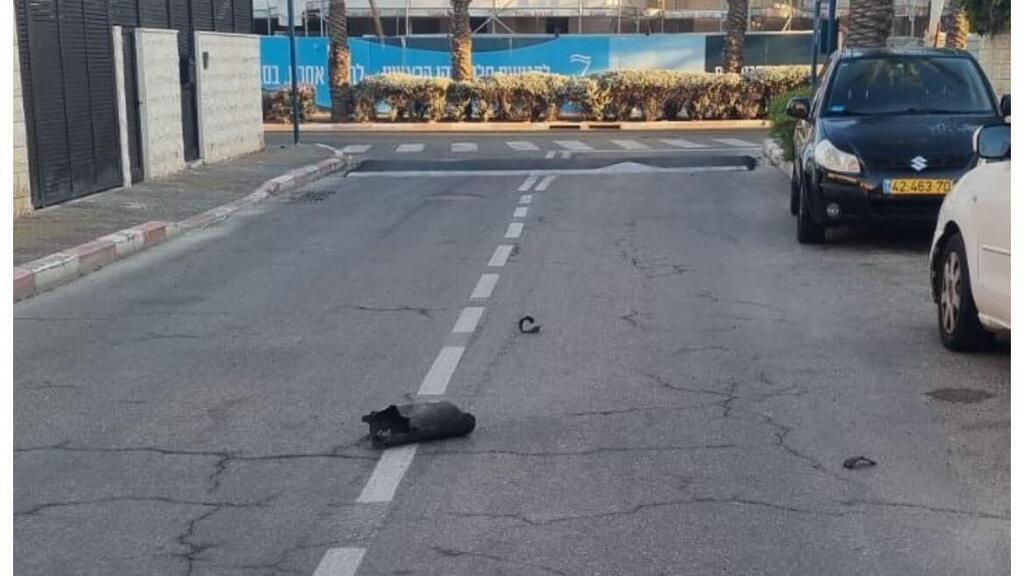 שבר יירוט בשכונת סביוני ים
