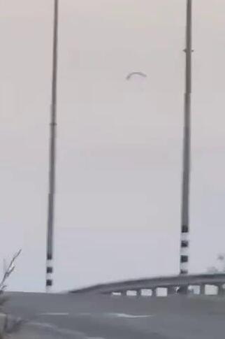 מצנחי רחיפה מעל ישוב דלתון 