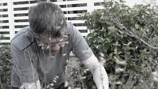 שיקום גינות כפר עזה רלוונט