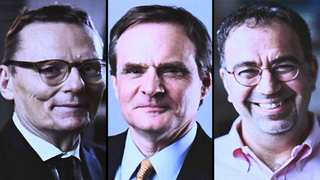 זוכי פרס נובל ב בכלכלה לשנת 2024 דארון אג'מולו, סיימון ג'ונסון, וג'יימס א. רובינסון