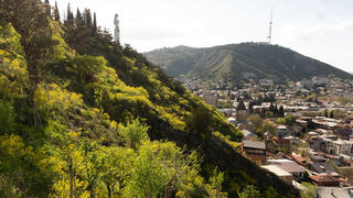 Urban Forest Tbilisi