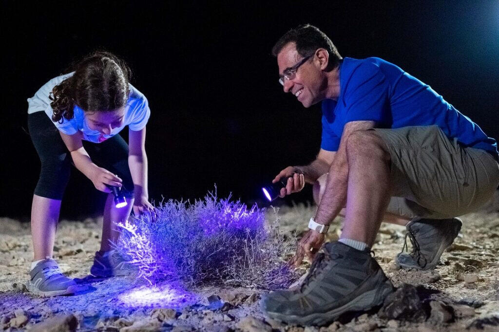 Night scorpion tour in Mitzpe Ramon 