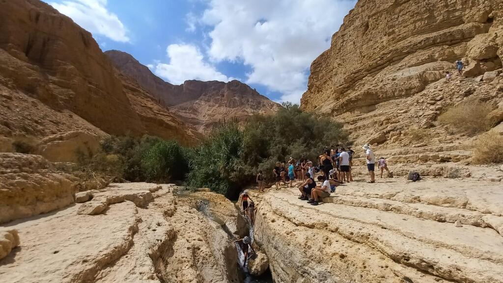 נחל ערוגות בעין גדי
