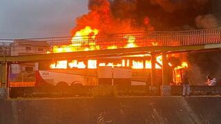 ליוואי רנדולף