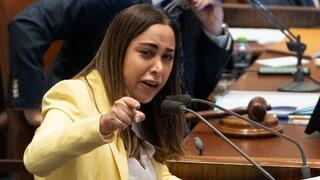 מליאת הכנסת