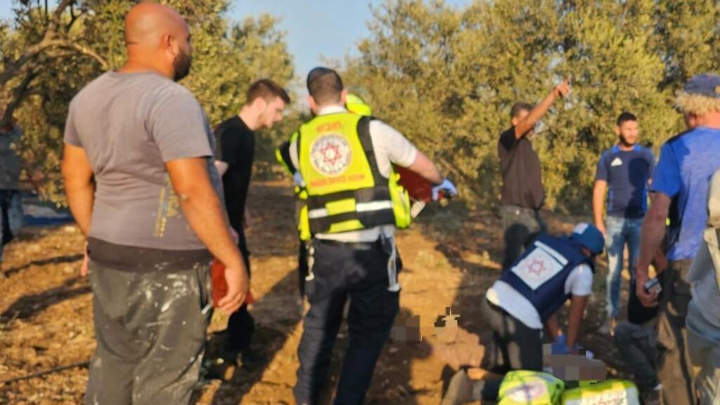 זירת הפגיעה בשטח החקלאי