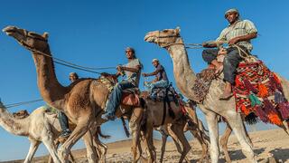 בנגב מברכים על עריכת המרוץ החוקי