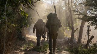 פעילות כוחות חטיבת אלכסנדרוני בדרום לבנון