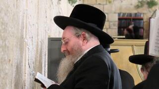 האדמו"ר מקרלין סטולין, הרב ברוך מאיר יעקב שוחט