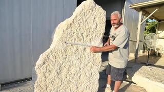 אורן ברקוביץ