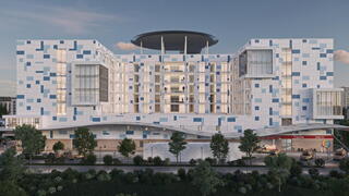 הלל יפה הדמיה