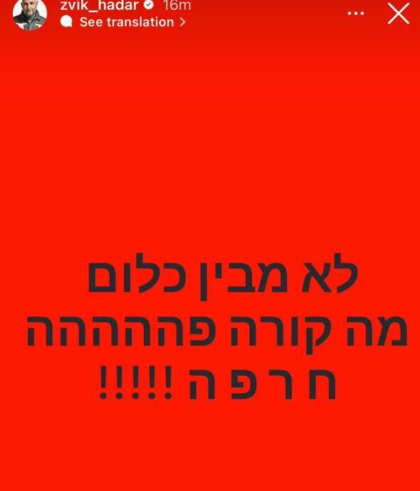 כוכבי הביצה מגיבים לפיטורי גלנט