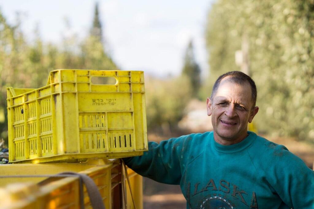 יוסי ברש