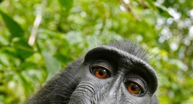 בדיקת QA - לא לגעת