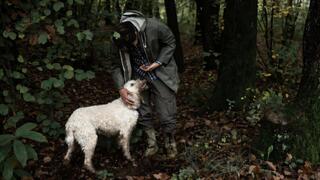 קרלו מרנדה אוסף פטריות כמהין לבנות