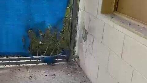  פגיעת כטב"מ גן ילדים בנשר