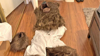 ארה"ב קליפורניה הונאת ביטוח תחפושת דוב פרץ ל מכוניות יוקרה חיבל