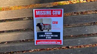 פוסטר שתלו אחוות סטודנטים באוניברסיטת פנסילבניה