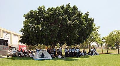 צילום: צפריר אביוב
