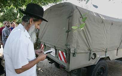 צילום: תומריקו