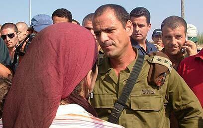 צילום: אבי כהן