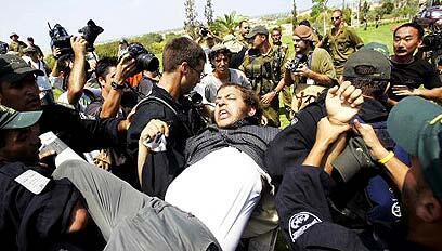 צילום: איי אף פי